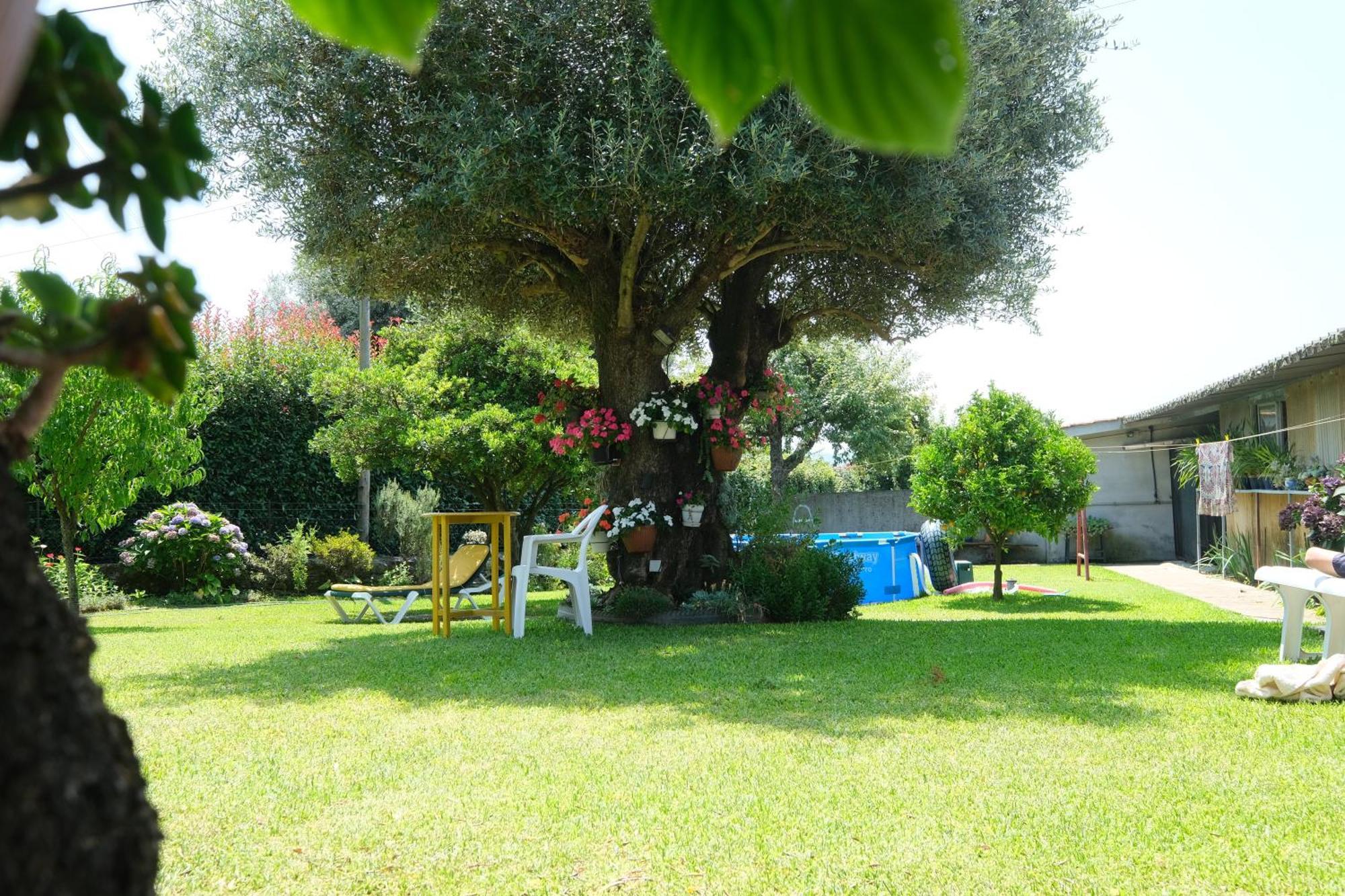 Bed and Breakfast Quintinha D'Avo Vila de Prado Esterno foto